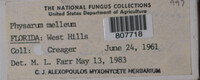 Image Associated With the Occurence